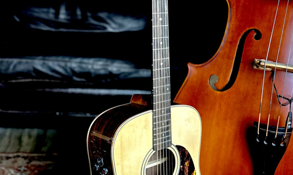Guitares electroacoustiques