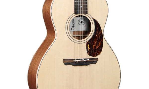 Guitares acoustiques