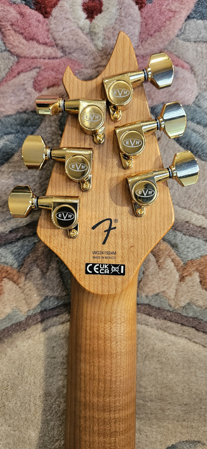 EVH wolfgang special baked maple tom