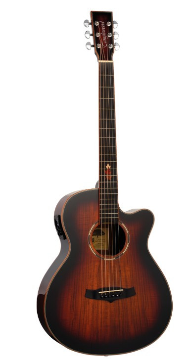 TANGLEWOOD TWX4CEK