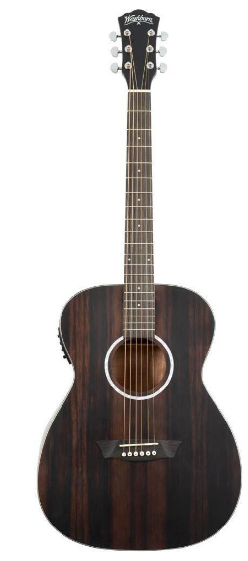 WASHBURN Ebony FE Deep Forest