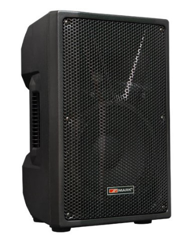 Haut-parleur MARK MS210