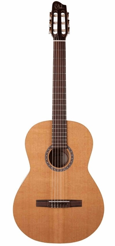 Guitarra electroclàssica GODIN Etude QIT