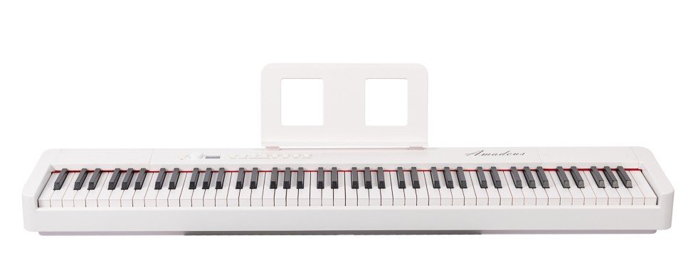 AMADEUS PA-10 Blanc