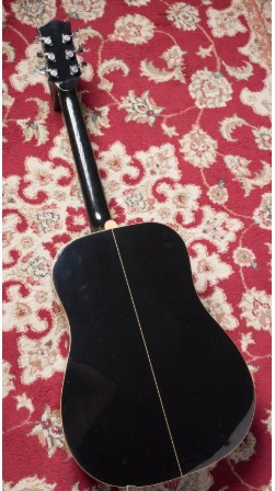 ALHAMBRA Appalachian W-300 B N E9