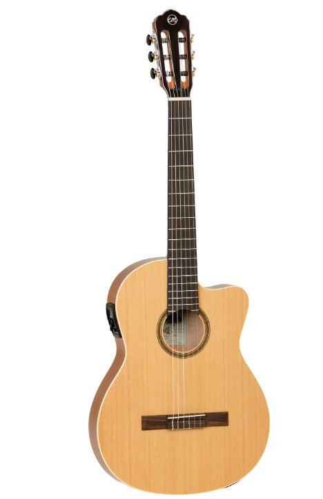 TANGLEWOOD EM DC2