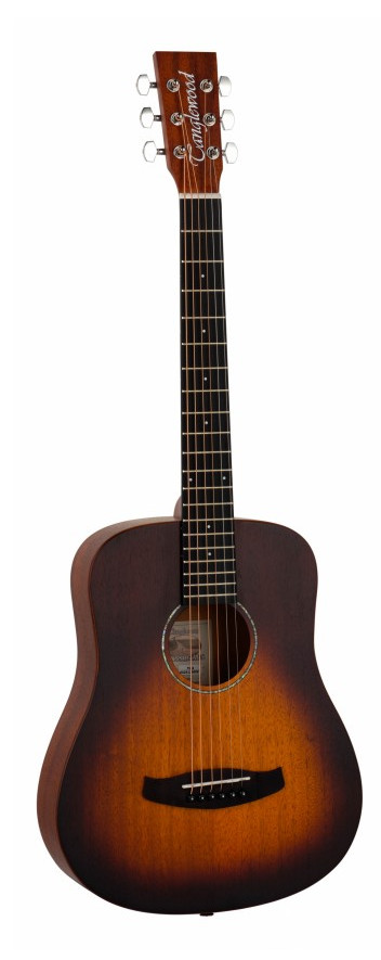 TANGLEWOOD TC2
