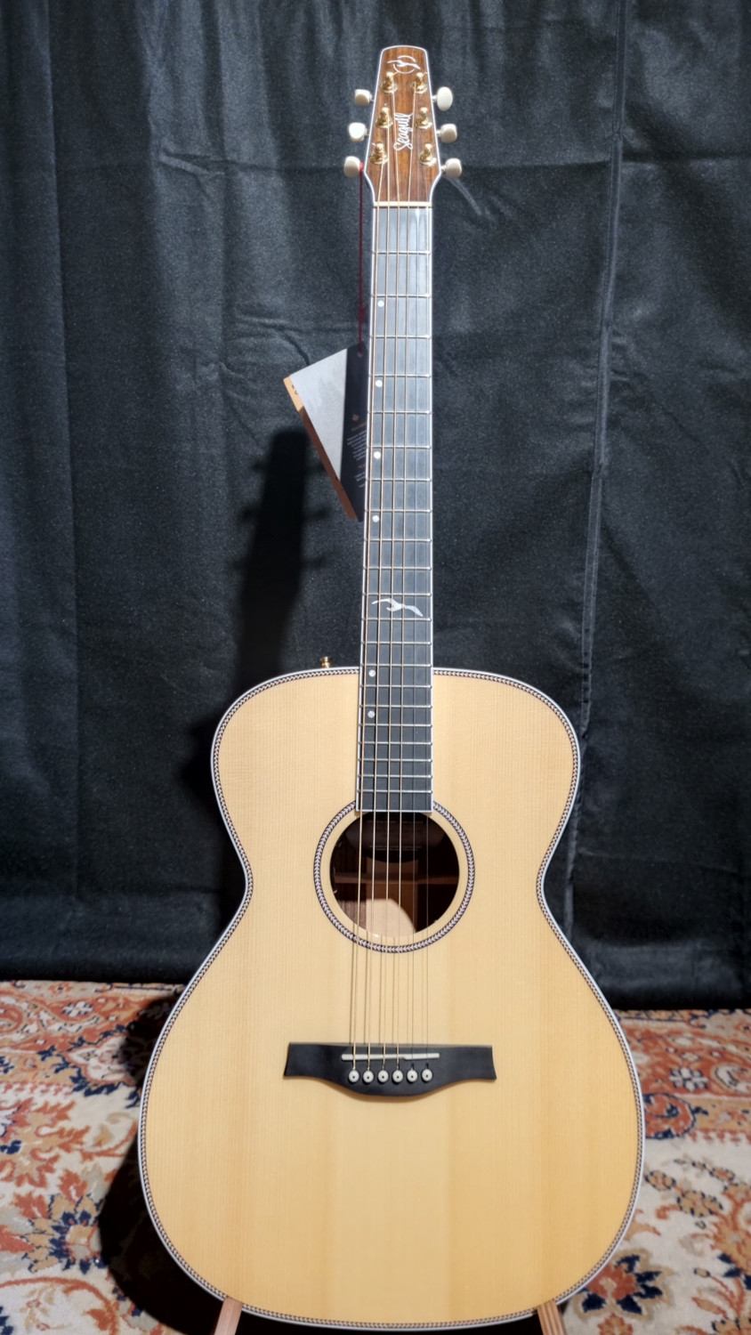SEAGULL Artist Studio Concert Hall Lr Baggs