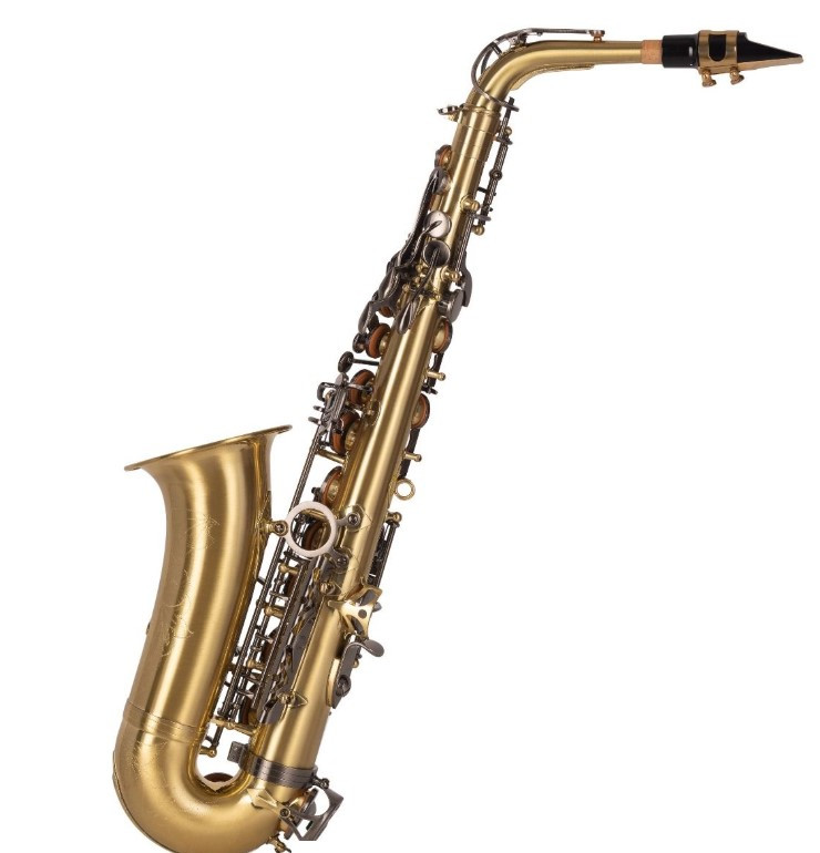 Saxophone Alto J. MICHAEL BPAL-AL1100AG