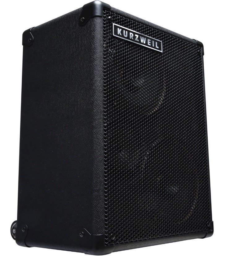 Amplificateur portable avec microphone KURZWEIL KST300A