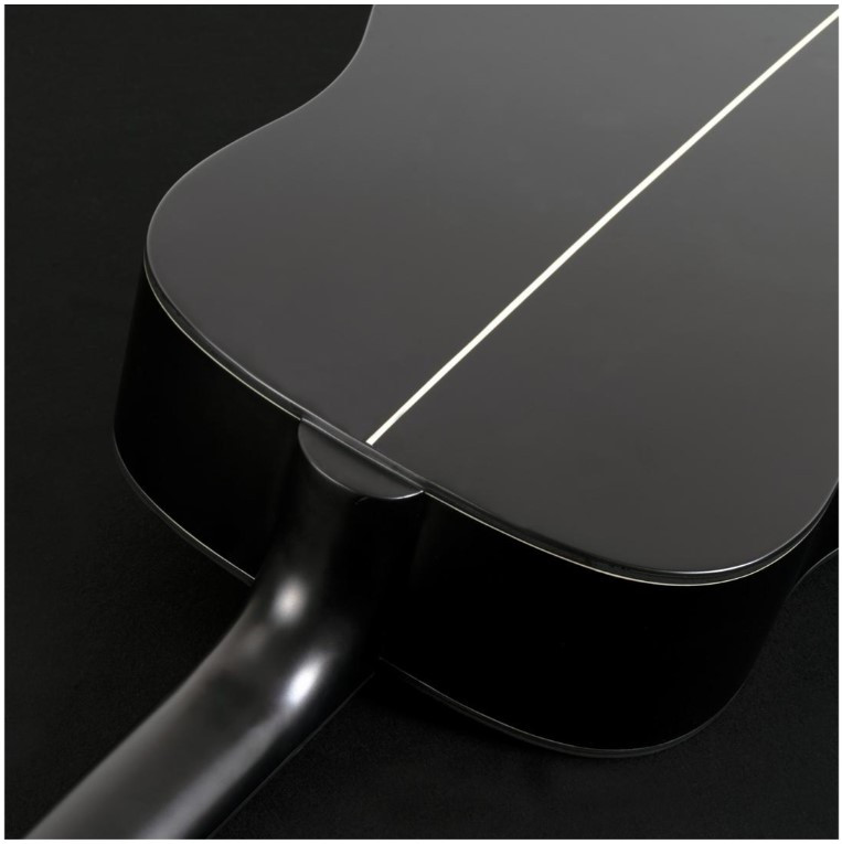 Guitare electroacoustique WASHBURN Deep Forest D Striped Ebony