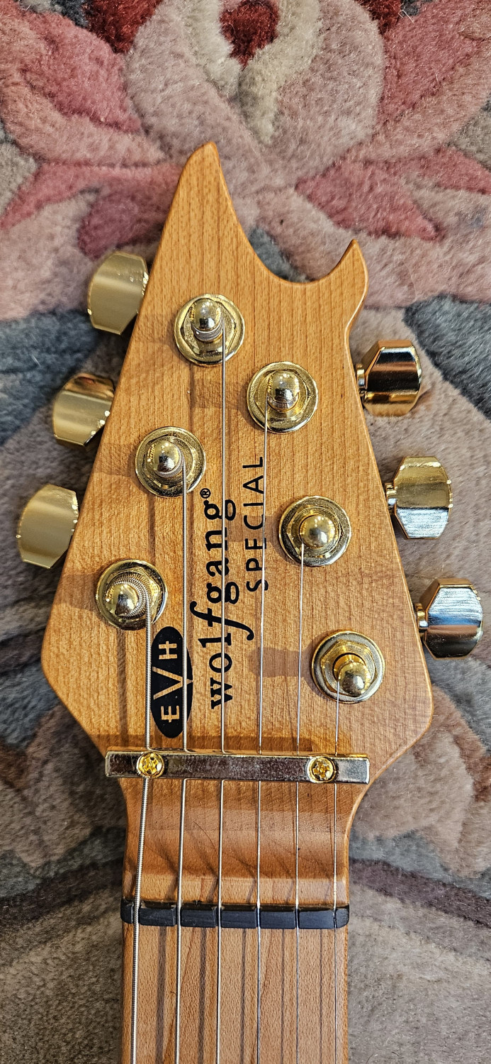 EVH wolfgang special baked maple tom
