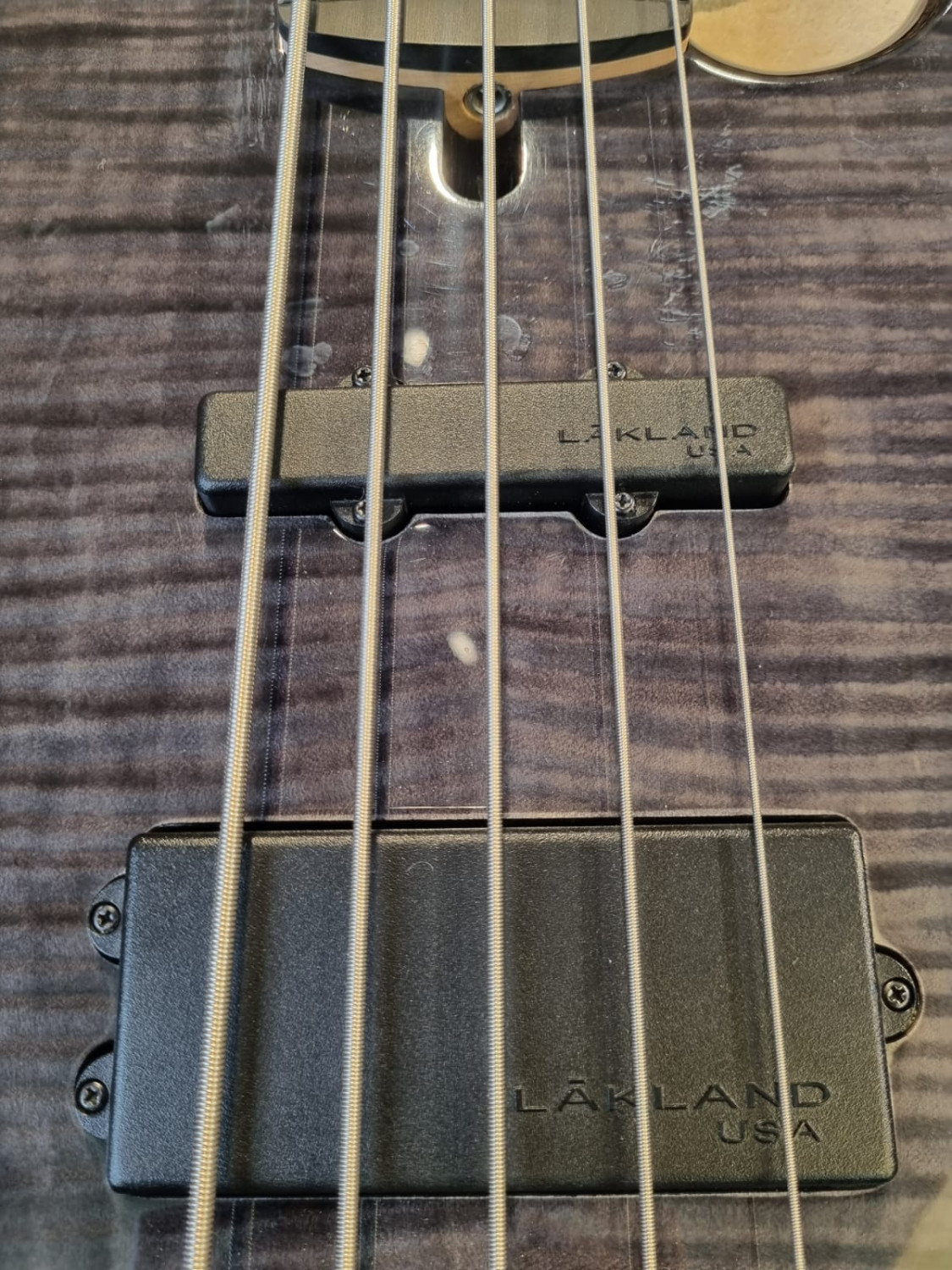 Basse LAKLAND Skyline P 55-02 Deluxe Translucent Black