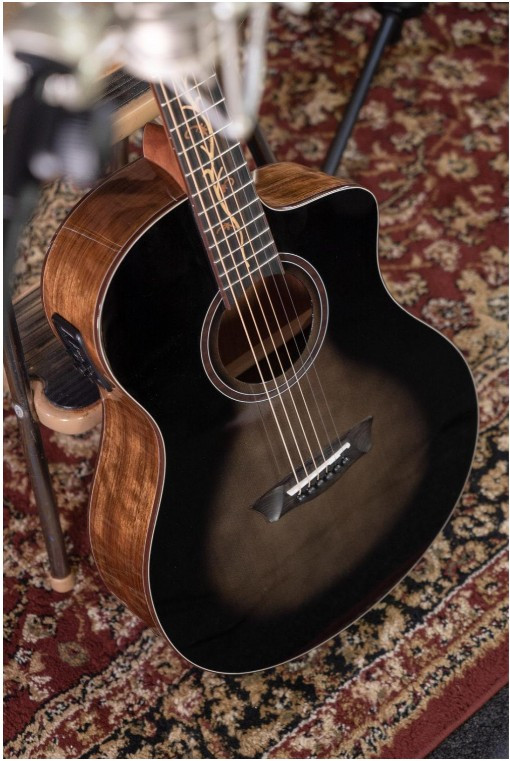 WASHBURN Bella Tono Vite S9V Gloss Charcoal Burst
