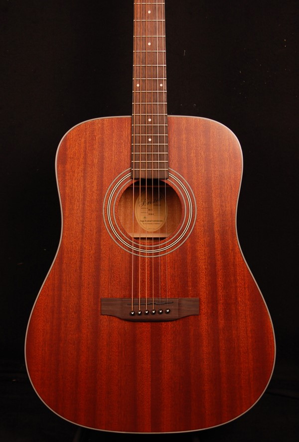 Guitare acoustique BRISTOL BD-15