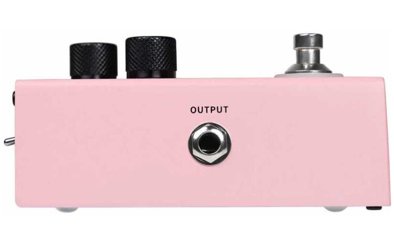 MOOER Autuner MVP1