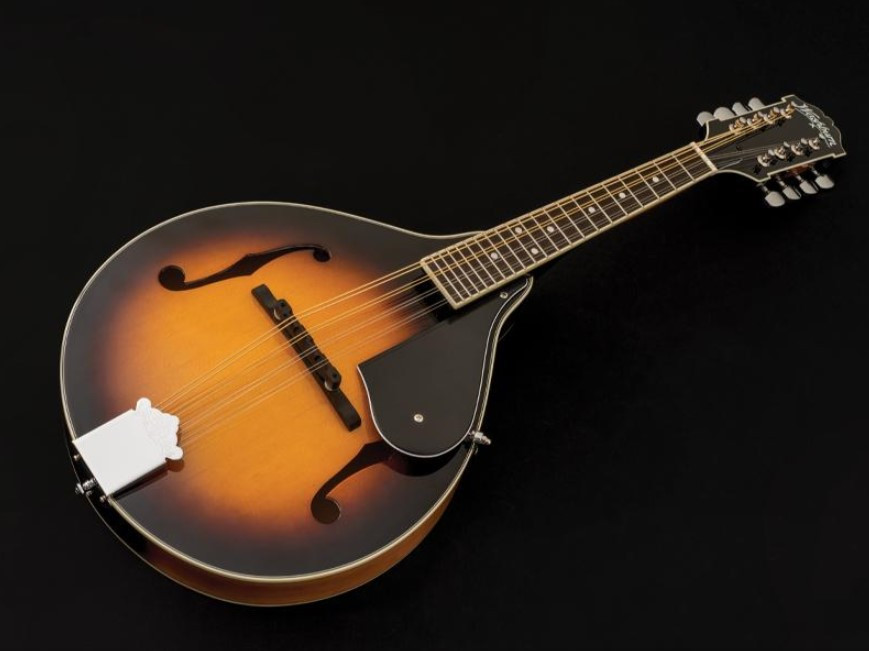 Mandoline WASHBURN M1 Pack avec étui, Sunburst