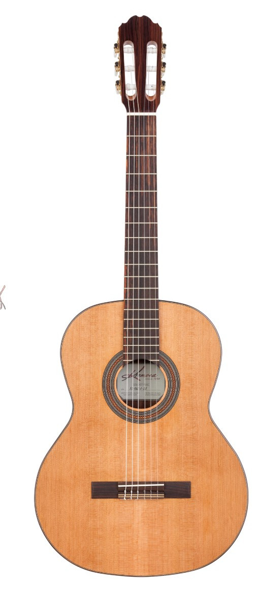 KREMONA Soloist S62C