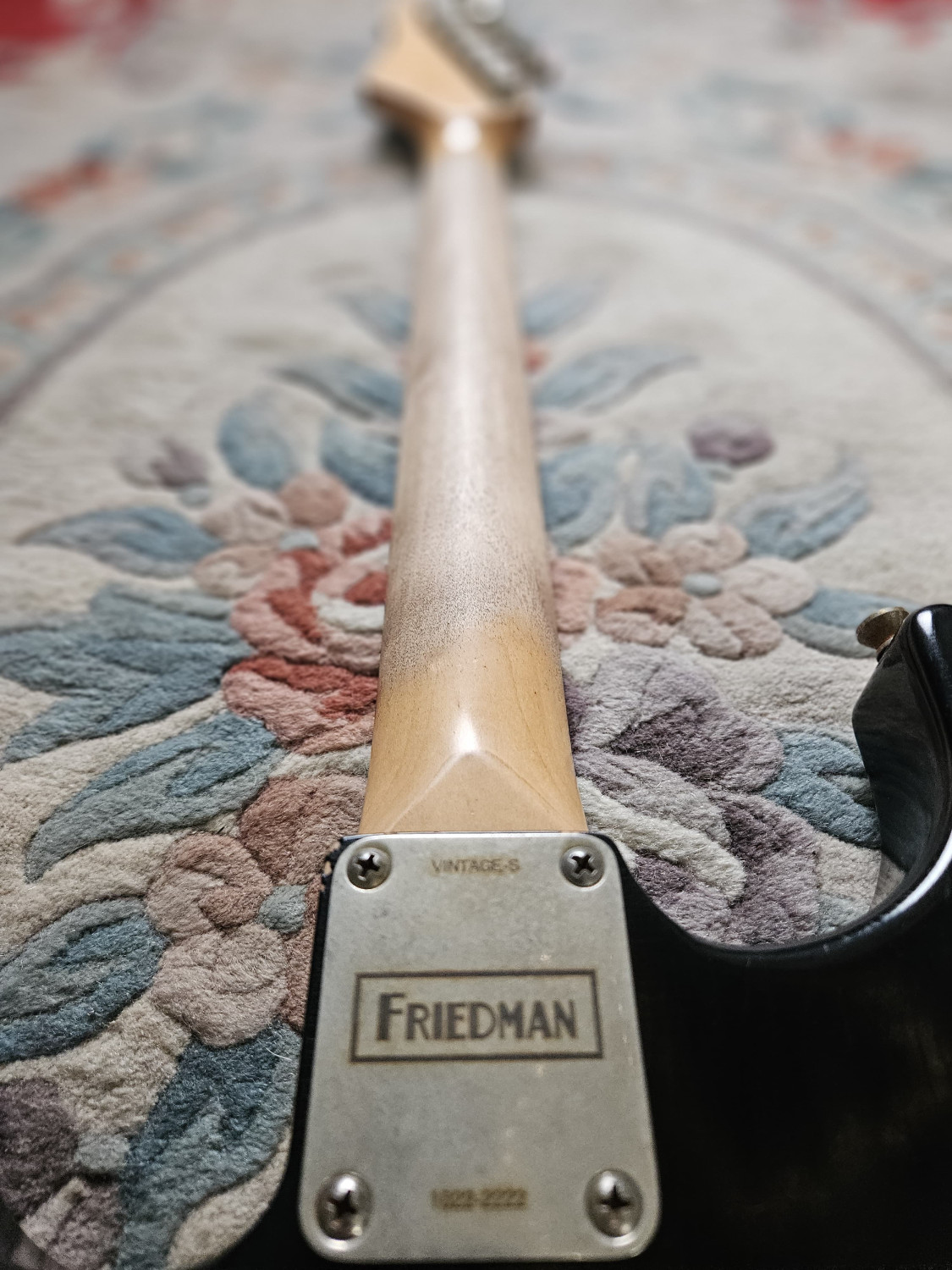 FRIEDMAN Vintage-S Negra ARNBTH+SS-LA