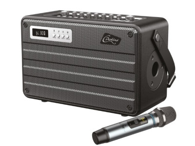 Amplificador Portátil PERKINS con Micro UHF – 100W