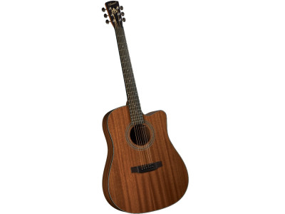 Guitare electroacoustique BRISTOL BD-15CE