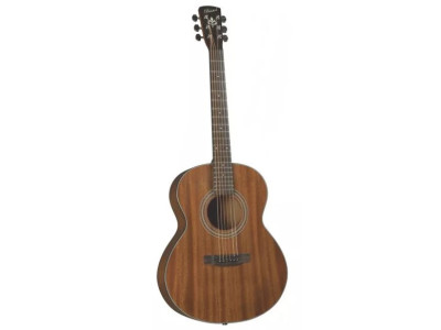 Guitarra acústica BRISTOL BF-15