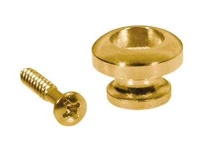 Strap pin BOSTON 14mm golden 2un.
