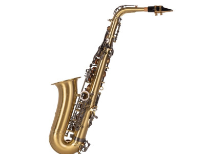 Saxo Alto J. MICHAEL BPAL-AL1100AG