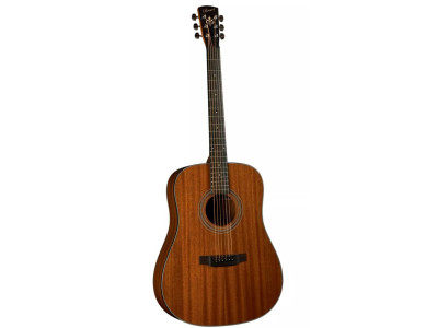 Guitare acoustique BRISTOL BD-15S