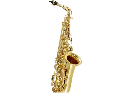 Saxo Alto J. MICHAEL AL500 Lacado