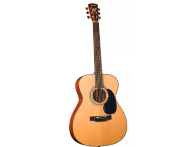 Guitarra acústica BRISTOL BM-16