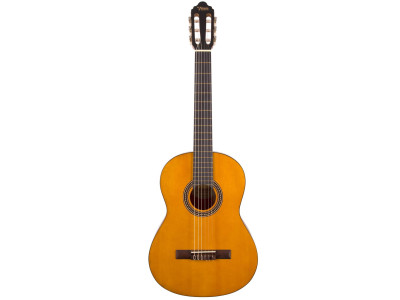 Guitare classique VALENCIA VC204T Naturel