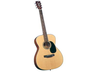 Guitare acoustique BLUERIDGE BR-43