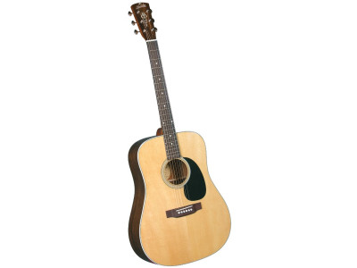Guitare acoustique BLUERIDGE BR-60