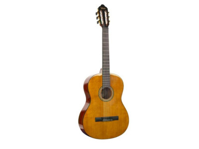 Guitare Classique VALENCIA VC264HT Antique Naturel